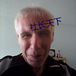 社长天下