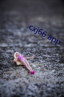 cxj66 app