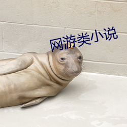 网游类小说