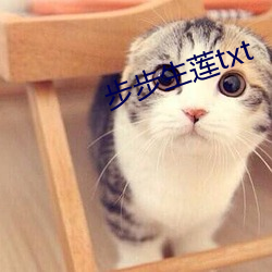 步步生莲txt