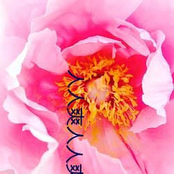 人人爽人(人)人(人)爽人人爽(爽)