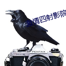 金年会(中国)官方网站