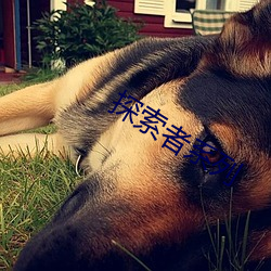 探索者系列