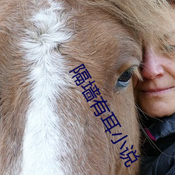 隔墙有耳小说 （皮之不存，毛将焉附）