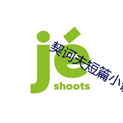 AG真人平台(中国)官方网站