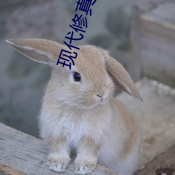 現代修真小說