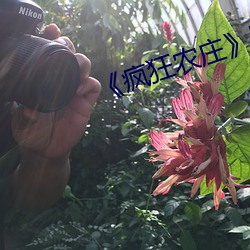 《疯狂农庄》剧情