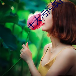 十大污污(wū)软件