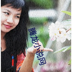 騰龍小說網