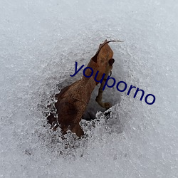 youporno