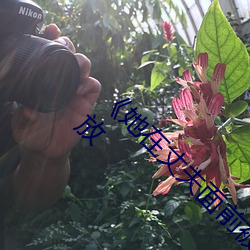 《她在丈夫面前被人耍了》电影全集手机在线播放