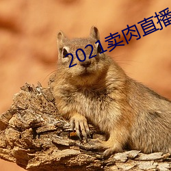 2021卖肉(ròu)直播网址