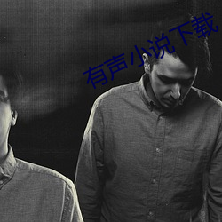 有(有)声小说下(下)载