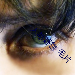 人与野鲁 毛片