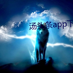 汤头条app下载地址