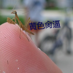 金年会(中国)官方网站