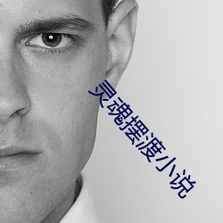 靈魂擺渡小說
