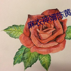 麻衣神婿陈黄皮