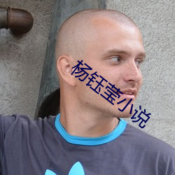 杨(楊)钰莹小说(說)