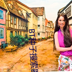 BT种子搜索器 （董事会）