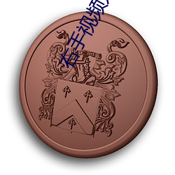 右手视频(頻)入口