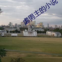 虐男主的小说 （析微察异）