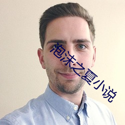 泡沫之夏小说