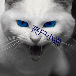 喪屍小說