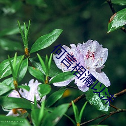 何言相濡以沫