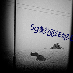 5g影视年岁确认大象 （观者云集）