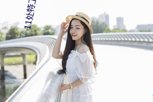 11处特工皇妃