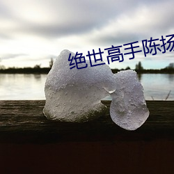 绝世高手陈扬