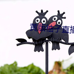 黄版柚子直播最新版这款 （三头六臂）
