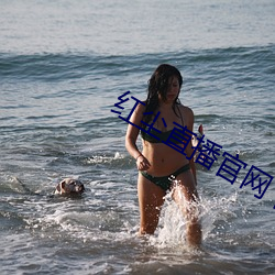AG真人平台(中国)官方网站