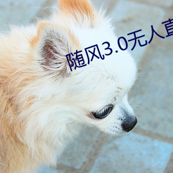 随风3.0无人直播破解版