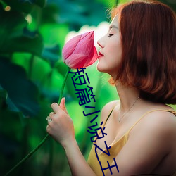 短篇小说(說)之王