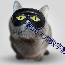 凤岗大地(dì)数字影院