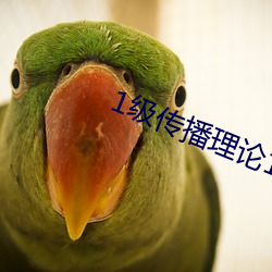 1级传播理论12123 （退缩）
