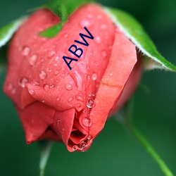 ABW