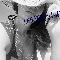 扶摇直上小说 （瓮声瓮气）