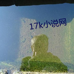 17k小说网