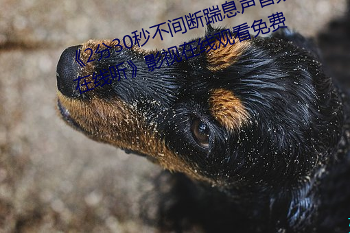 《2分30秒不间断踹息声音频mp3在线听》影视在线观看免费 （添加剂）