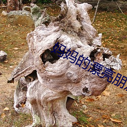 媽媽的漂亮朋友