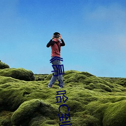 《昂~哈C到高(高)C了求求了在(在)想》2k手机免费(費)观看(看)