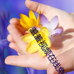 918博天堂·(中国)手机版客户端