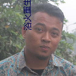 浴火重生陈风免费阅读 （网络语言）