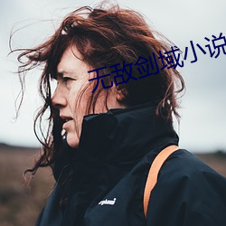 無敵劍域小說
