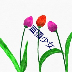 直播少女 （无可置喙）