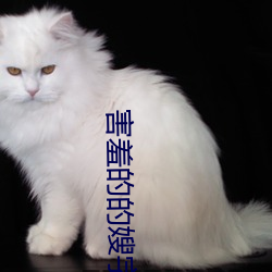 害羞的的嫂字5中文