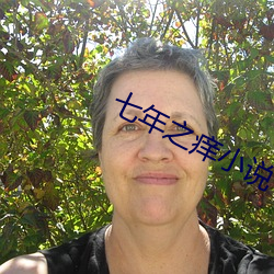 七年之癢小說